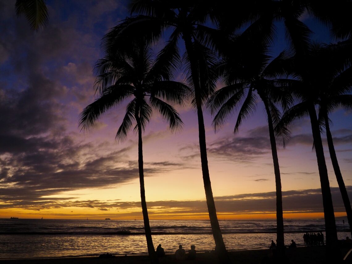 Hawaii short break - feature photo - palm tree silhouettes against a twilight ocean view just after sunset on Waikiki beach