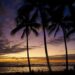 Hawaii short break - feature photo - palm tree silhouettes against a twilight ocean view just after sunset on Waikiki beach