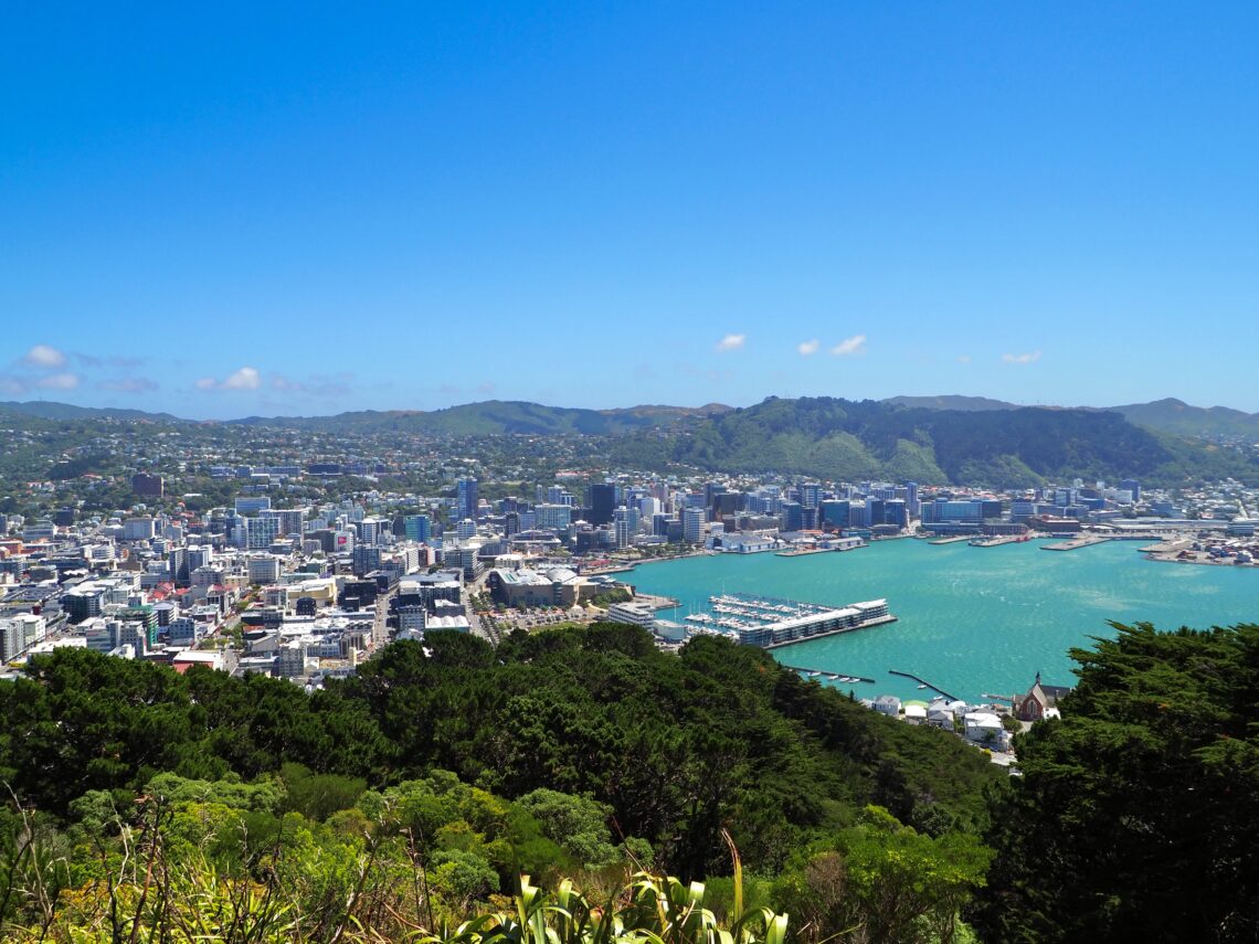 Moving to New Zealand - feature photo - view of Wellington from the summit of Mount Victoria