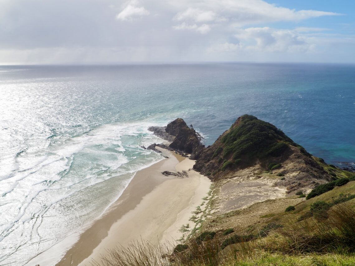 A Week in Northland road trip - feature photo - Spirit Bay & tree at Cape Reinga