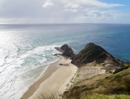 A Week in Northland road trip - feature photo - Spirit Bay & tree at Cape Reinga