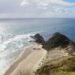 A Week in Northland road trip - feature photo - Spirit Bay & tree at Cape Reinga