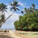 A Week in Samoa - feature photo - palm trees over white sand Vavau beach and a small tree-covered peninsula