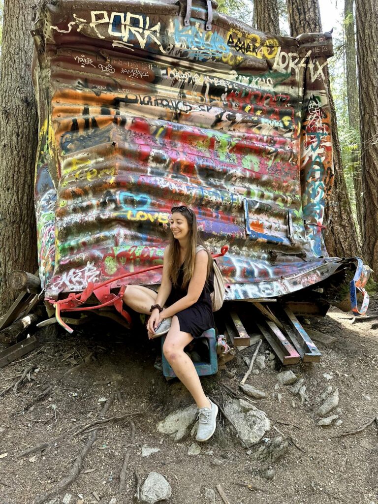 About Me - introduction - portrait at the graffiti train wreck near Whistler