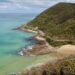 Great Ocean Road trip - feature photo - road curving around the coast, between a hill and blue ocean - view from Teddy's Lookout, Lorne, Victoria, Australia